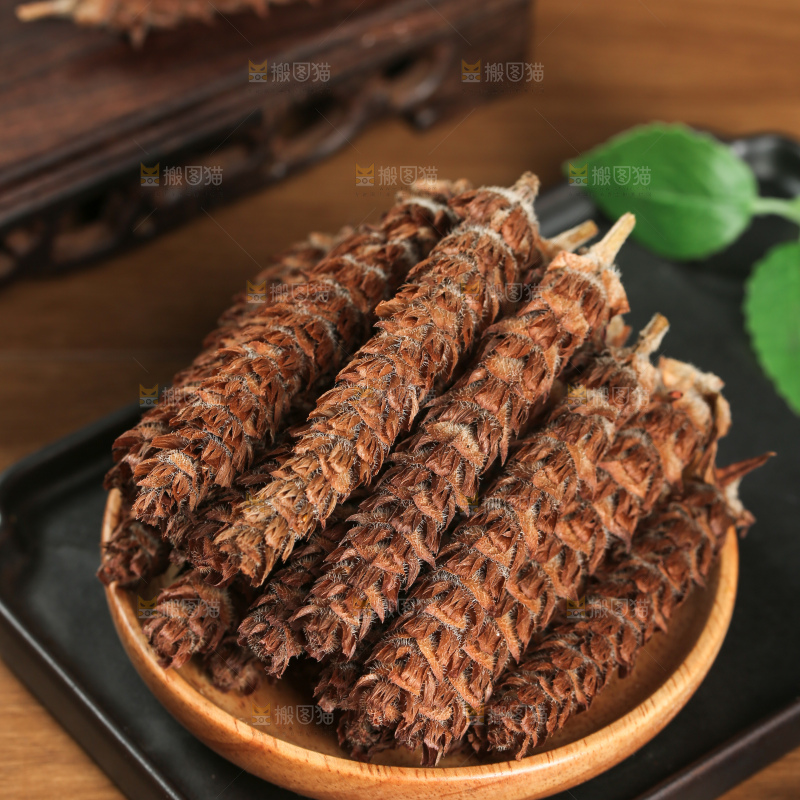 夏枯草