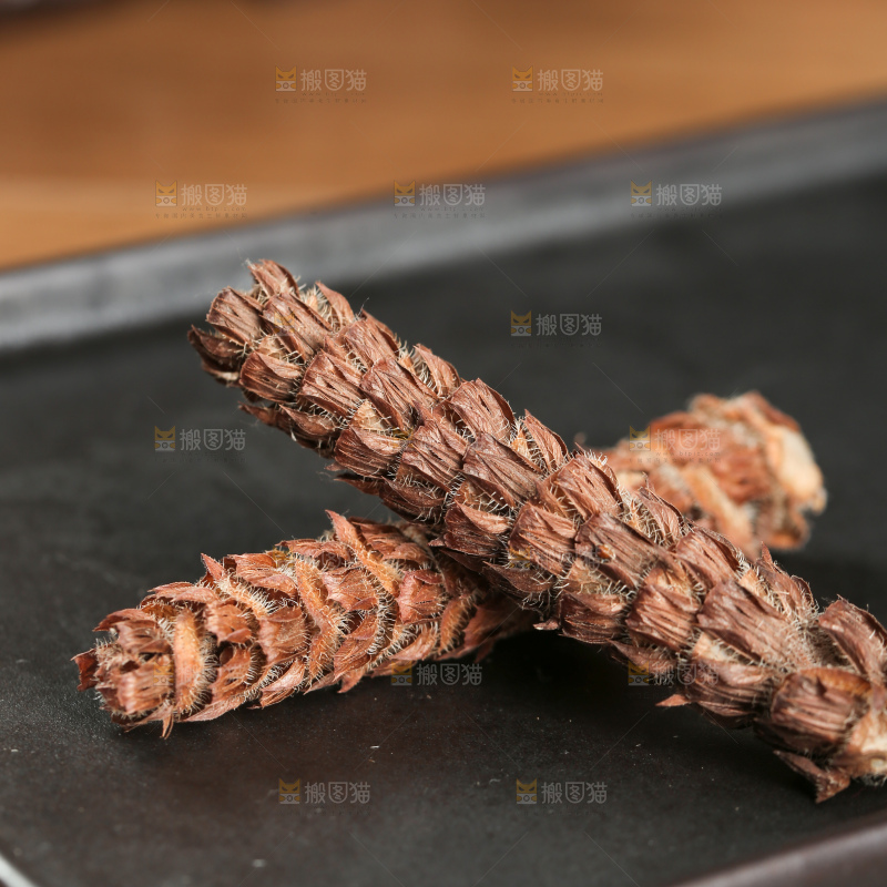 夏枯草