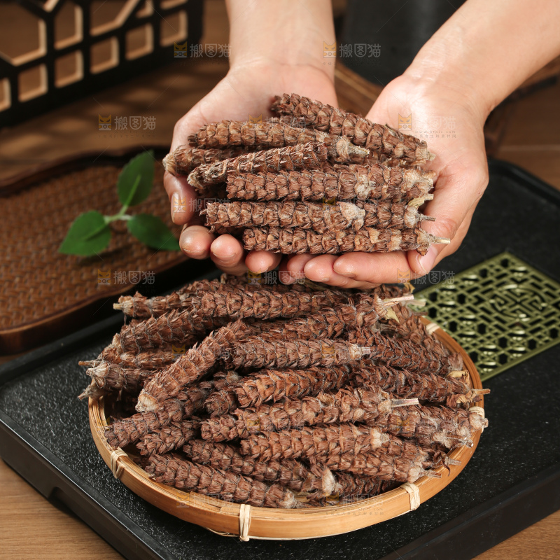 夏枯草