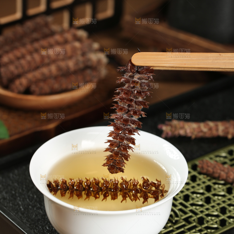 夏枯草