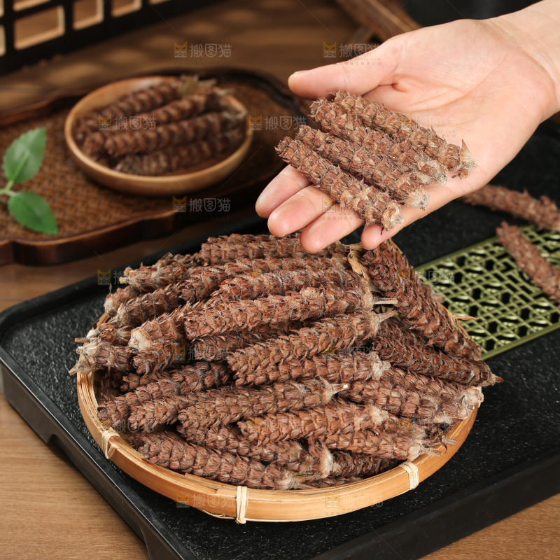 夏枯草