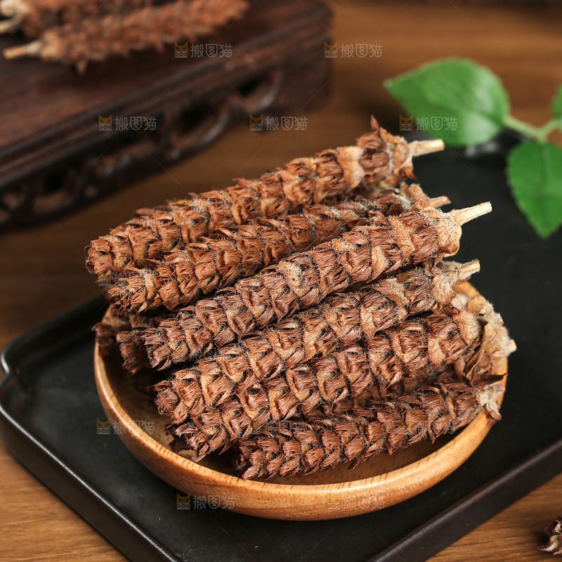 夏枯草