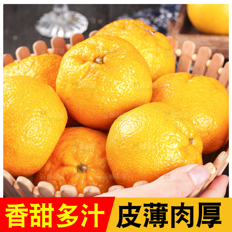 丑橘