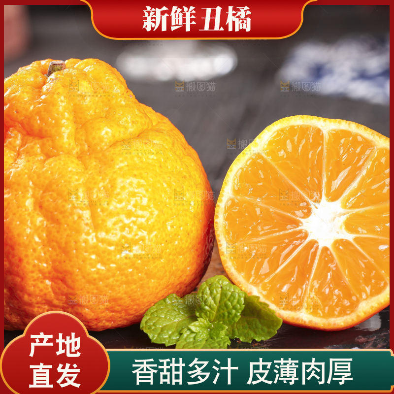 丑橘