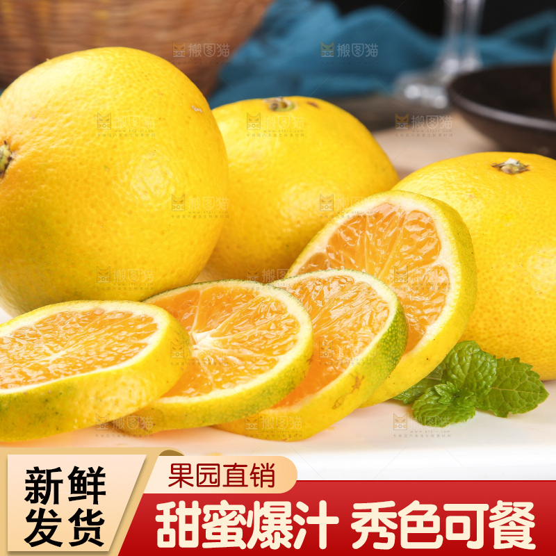 蜜桔