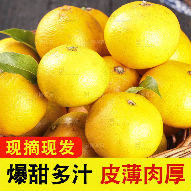 蜜桔
