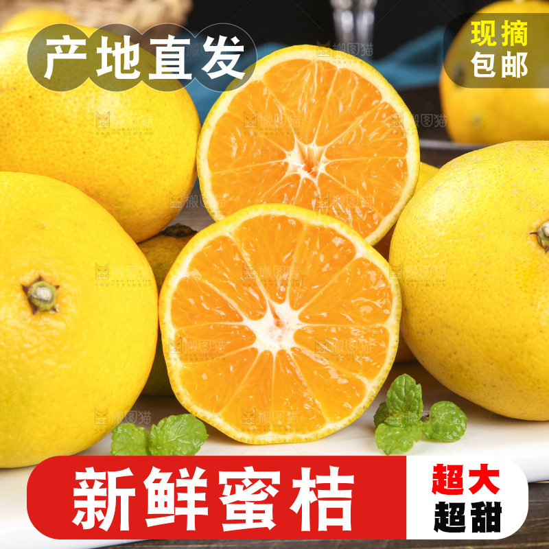 蜜桔