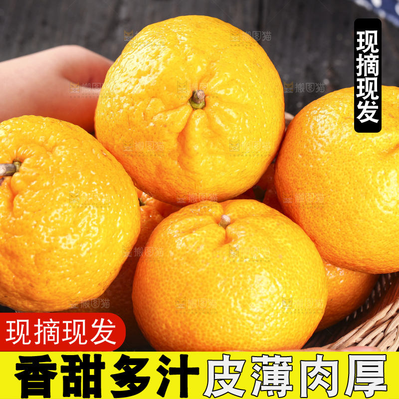 丑橘