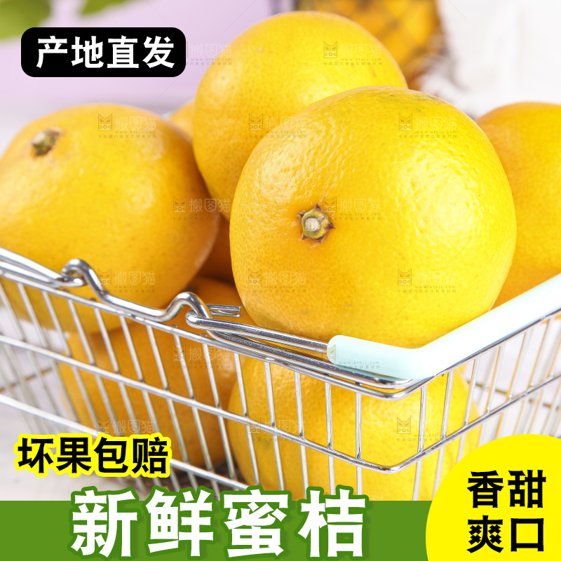 蜜桔