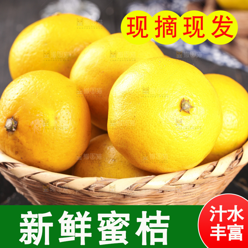 蜜桔