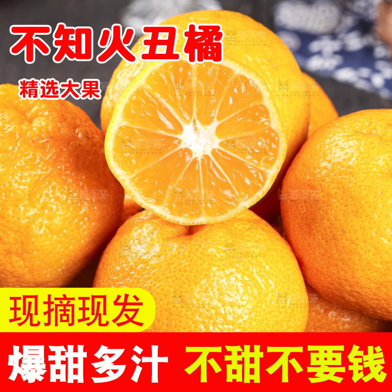 丑橘
