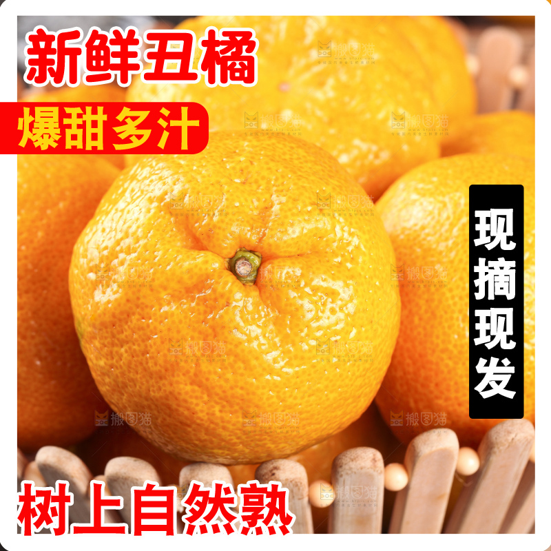 丑橘