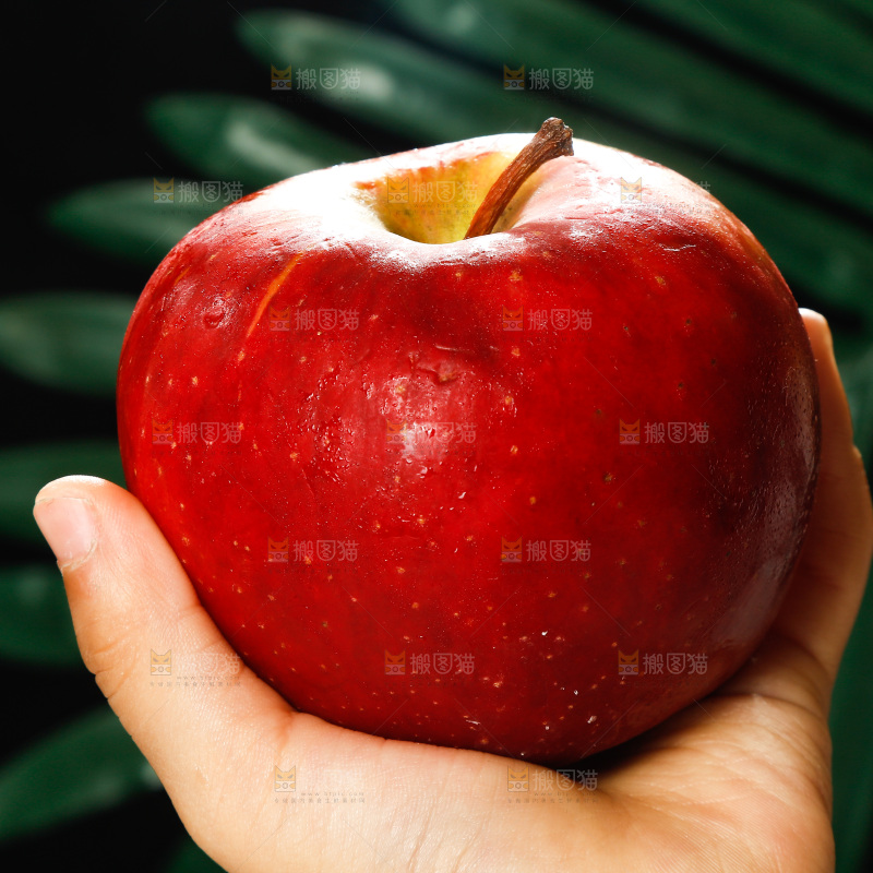 手里拿着红苹果
