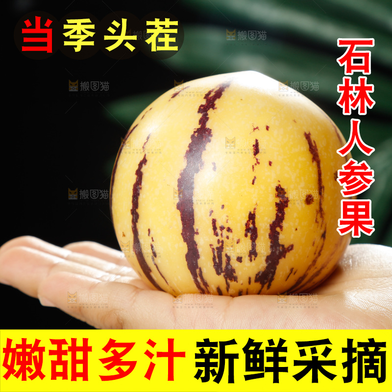 手里拿着石林人参果