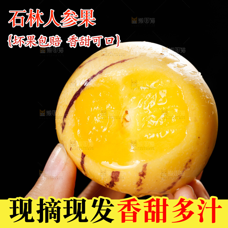 手里拿着石林人参果