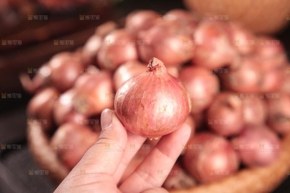毛葱