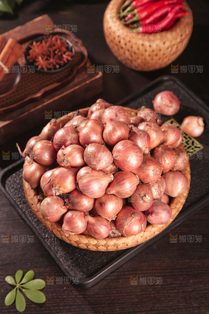 毛葱