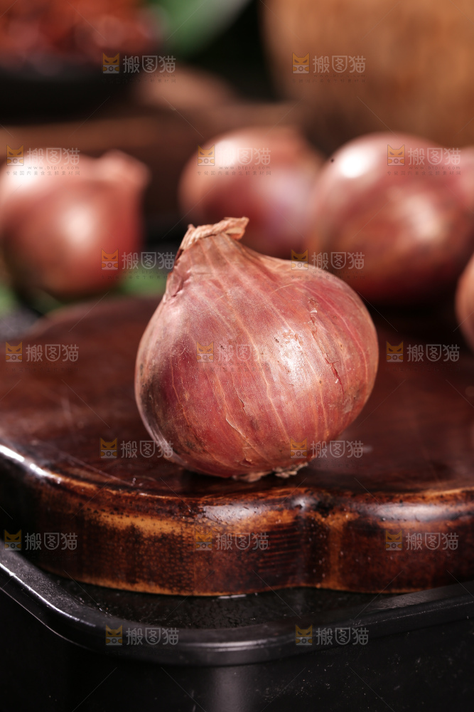 毛葱
