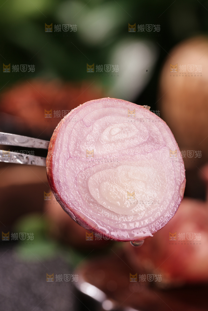 毛葱