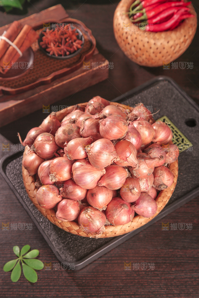 毛葱