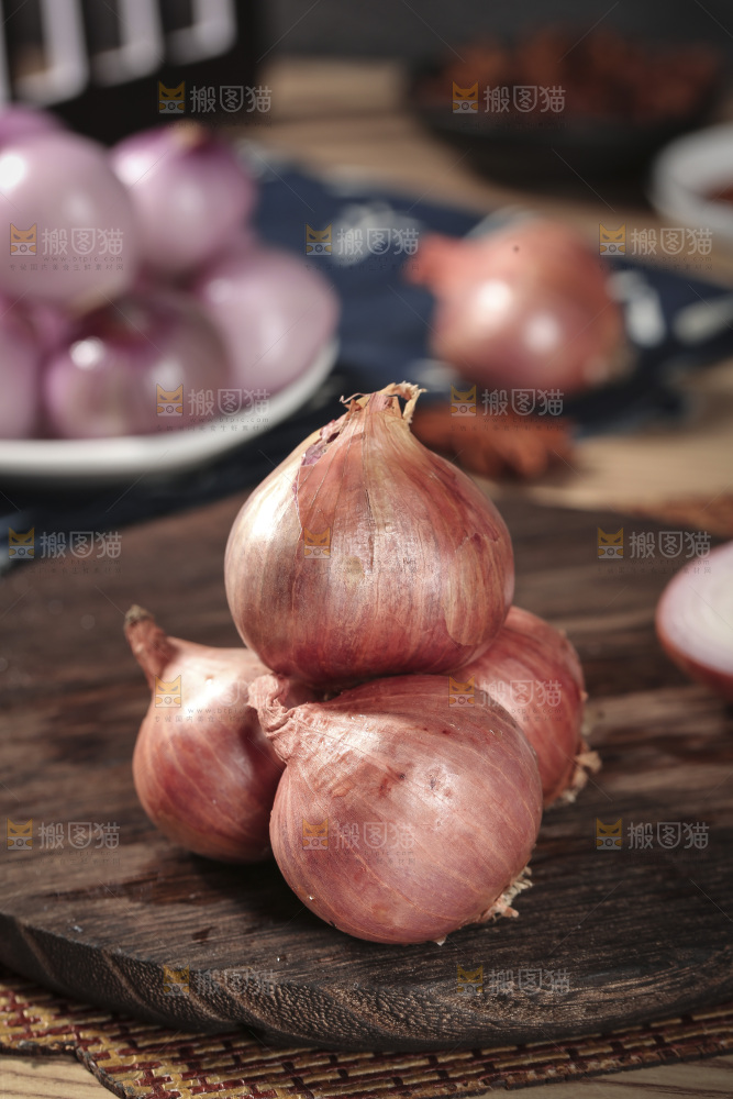 毛葱