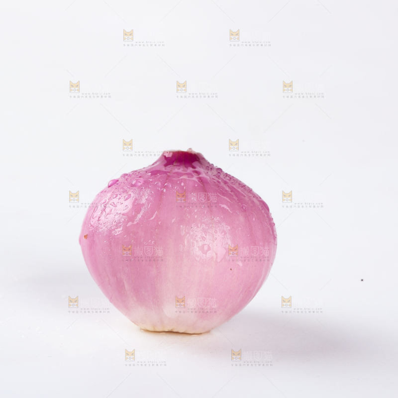 毛葱