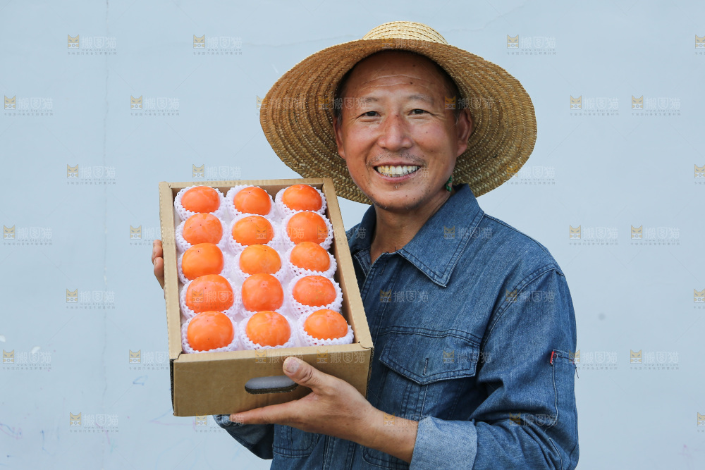 火晶柿子