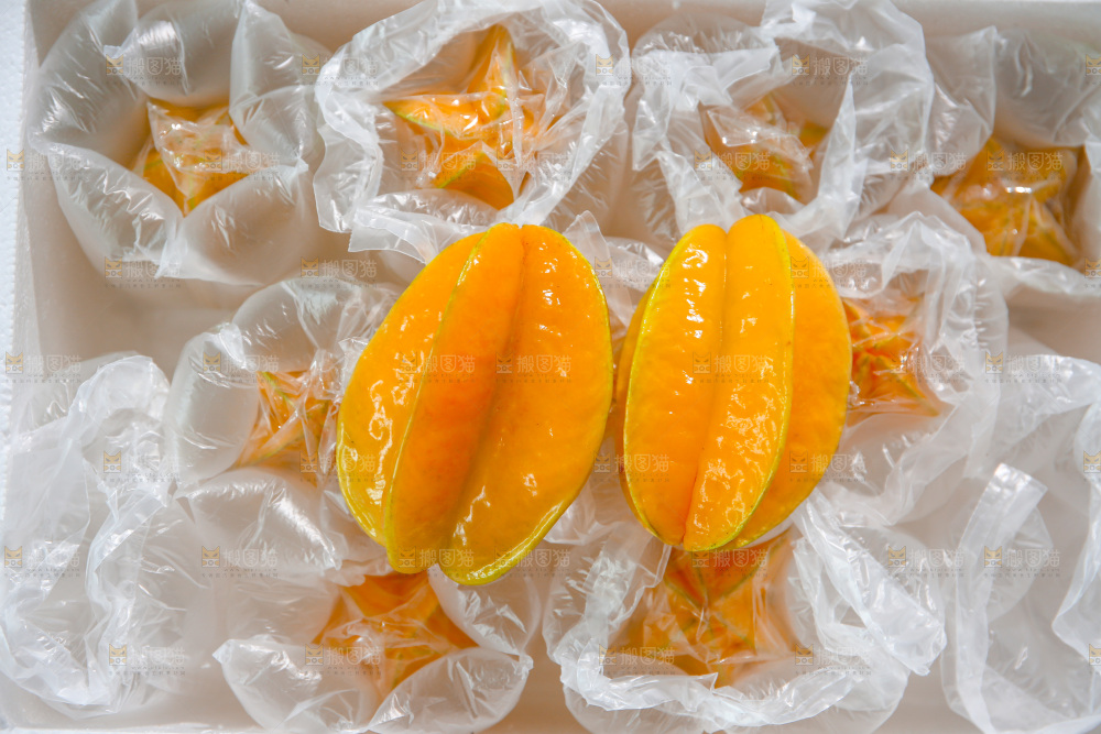 杨桃