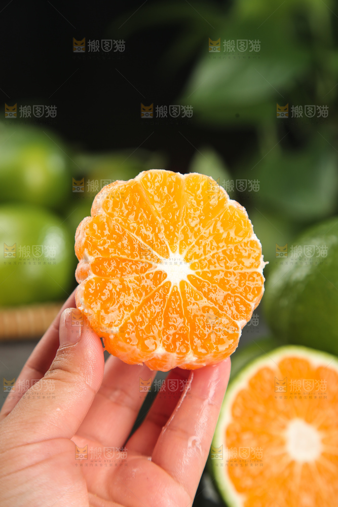 青皮蜜桔