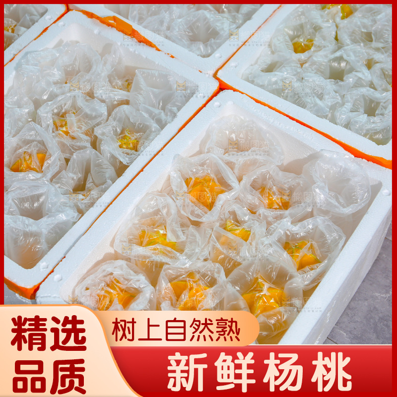 杨桃