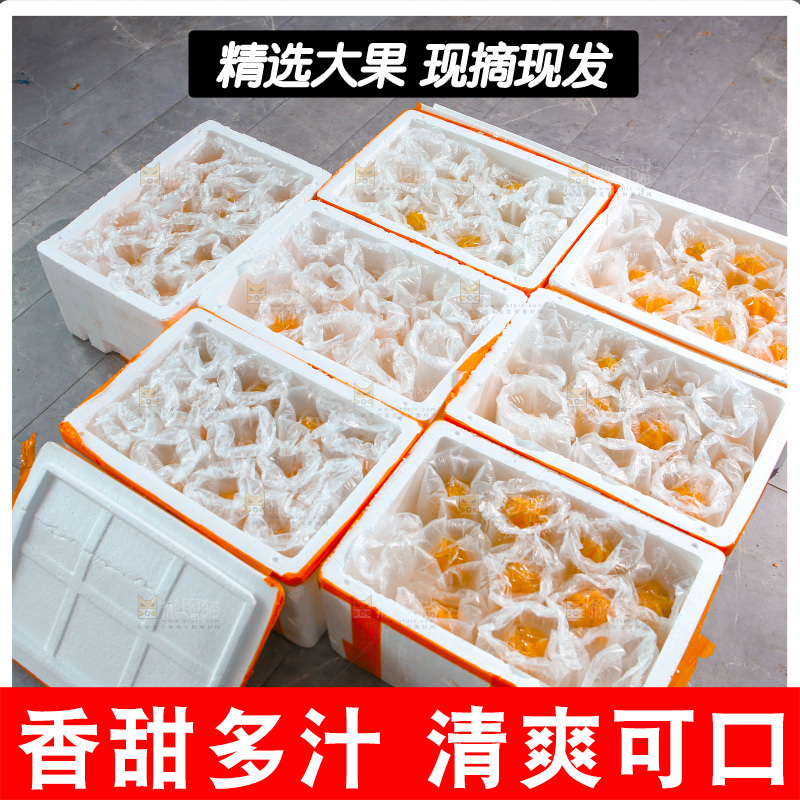杨桃