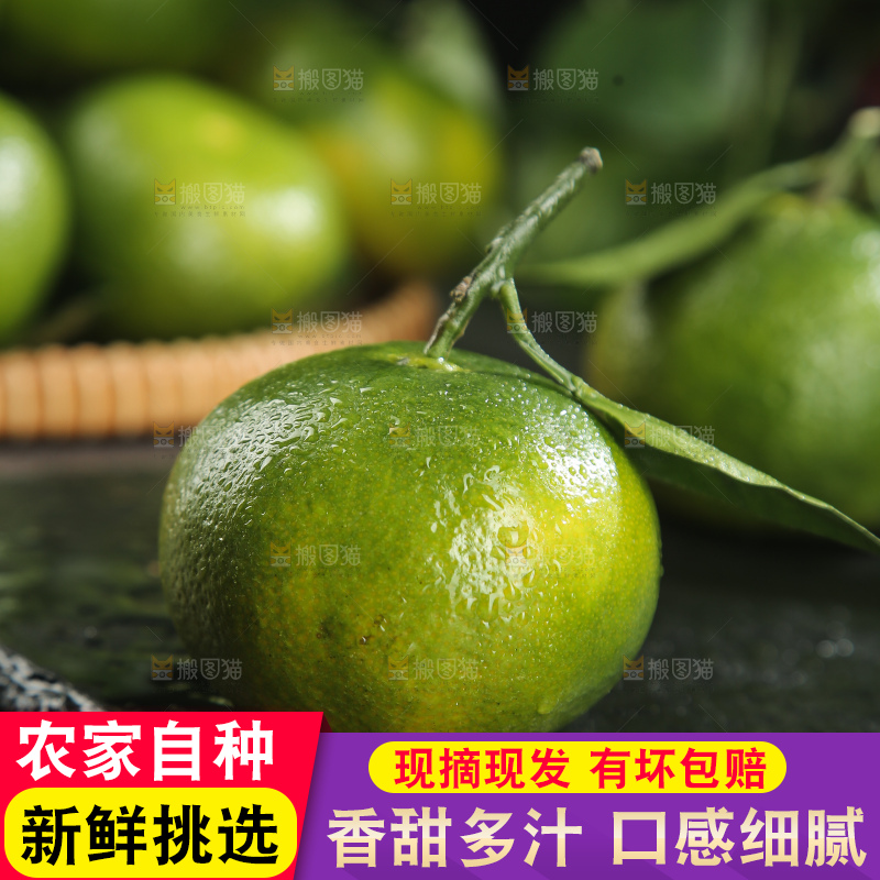青皮蜜桔