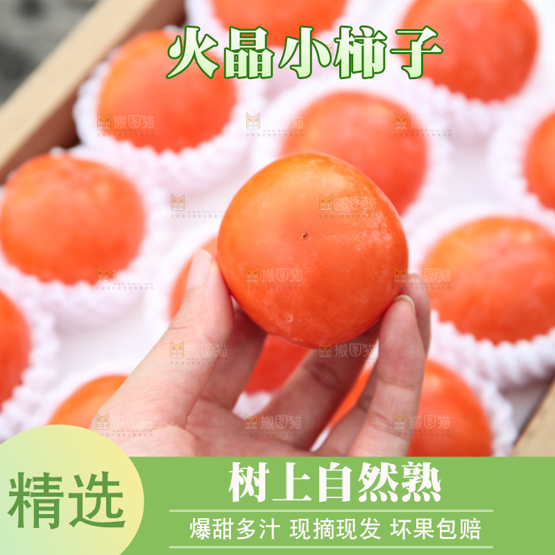 火晶柿子