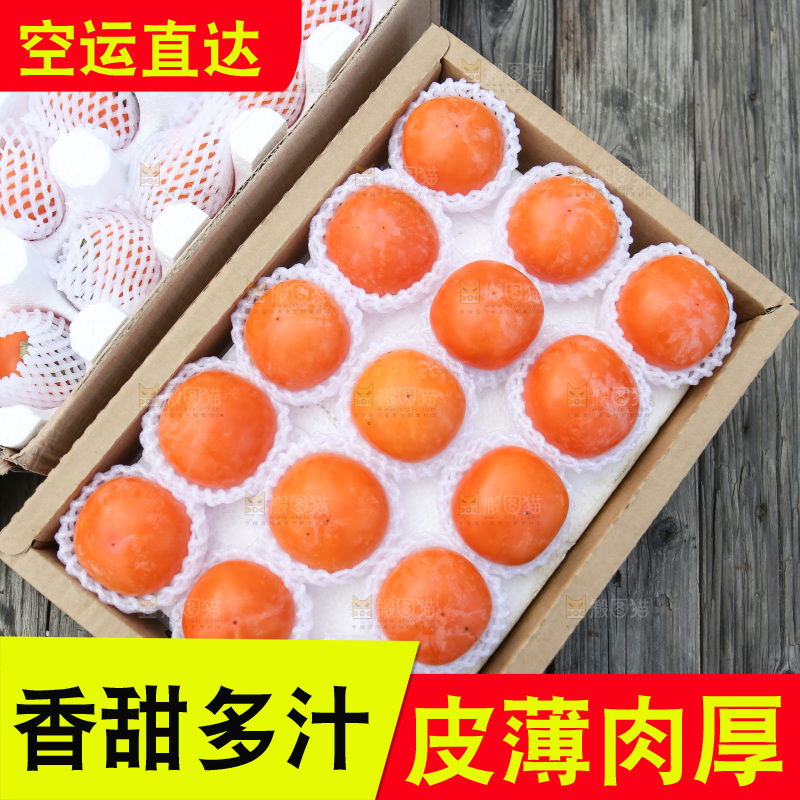 火晶柿子