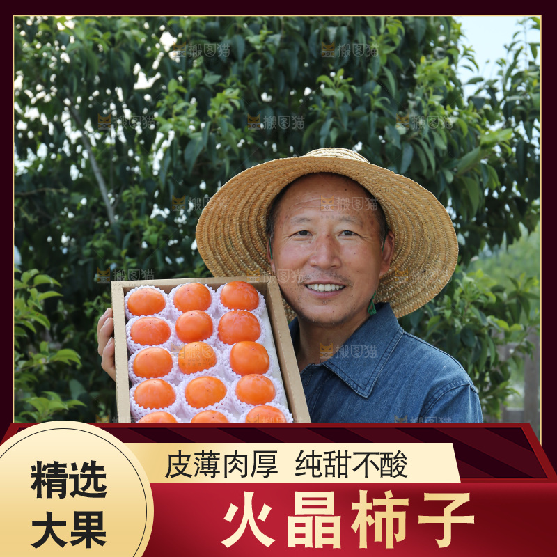 火晶柿子