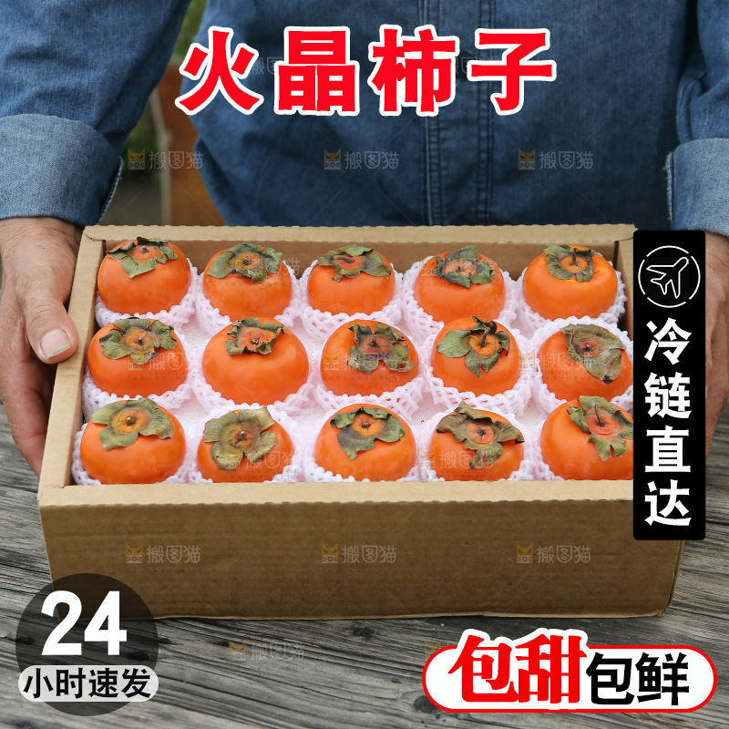 火晶柿子
