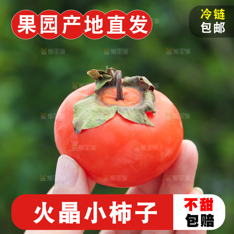 火晶柿子