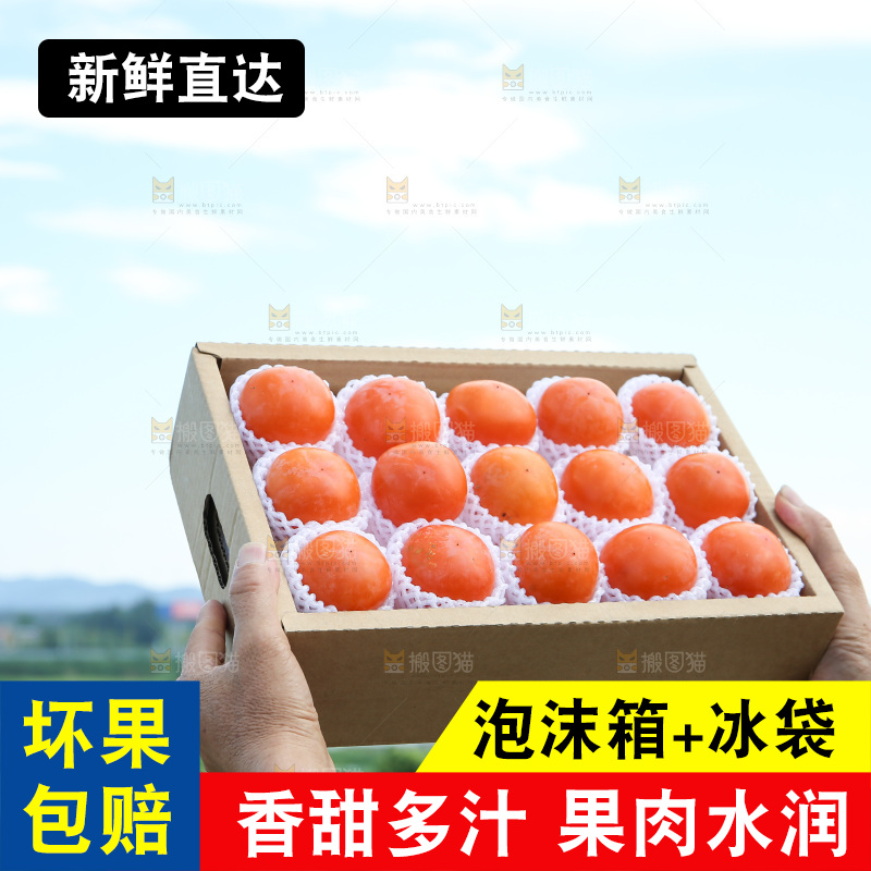 火晶柿子