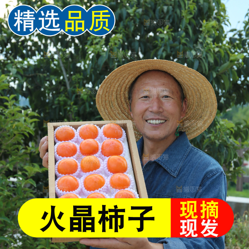 火晶柿子