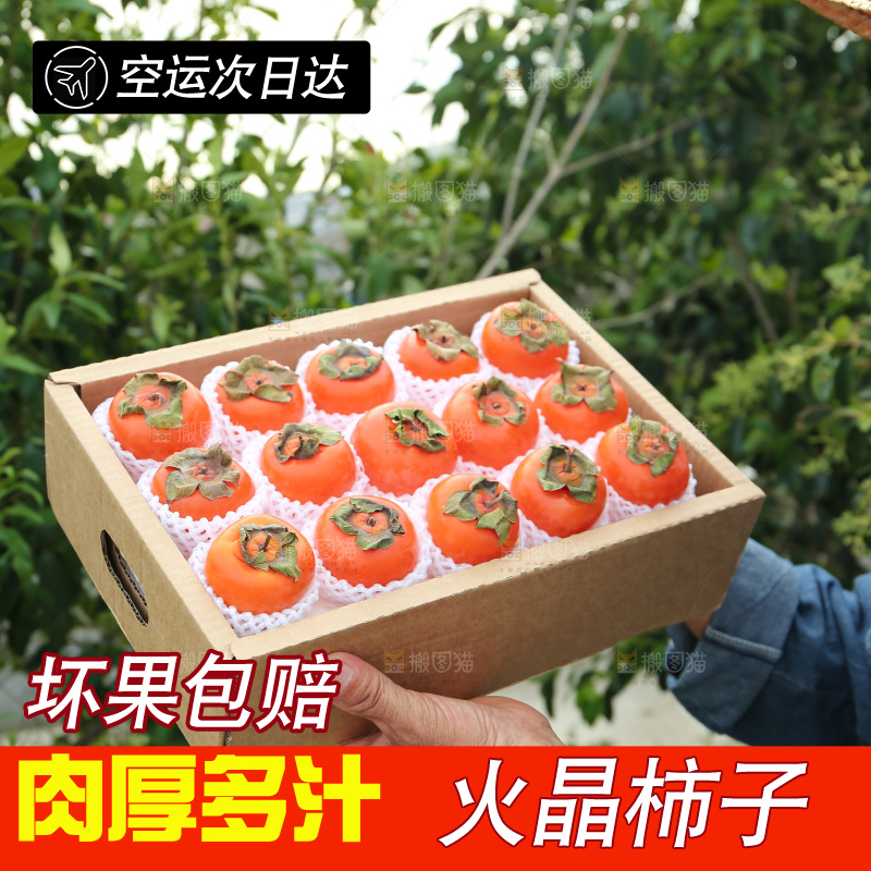 火晶柿子