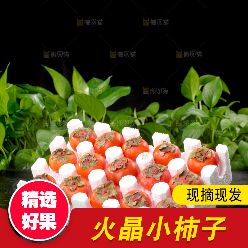 火晶柿子