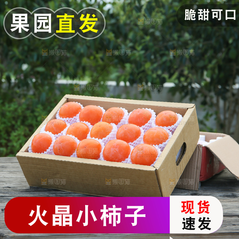 火晶柿子