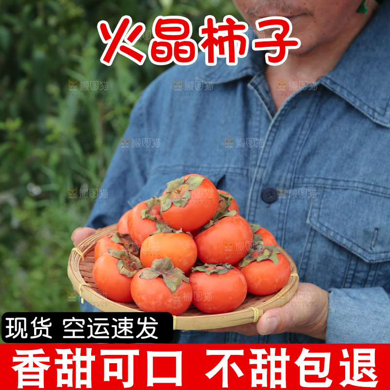 火晶柿子