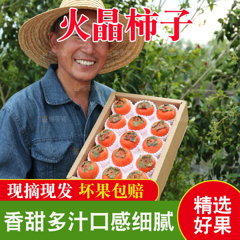 火晶柿子