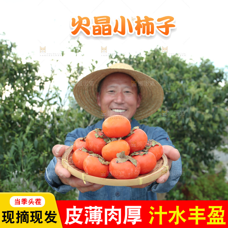 火晶柿子