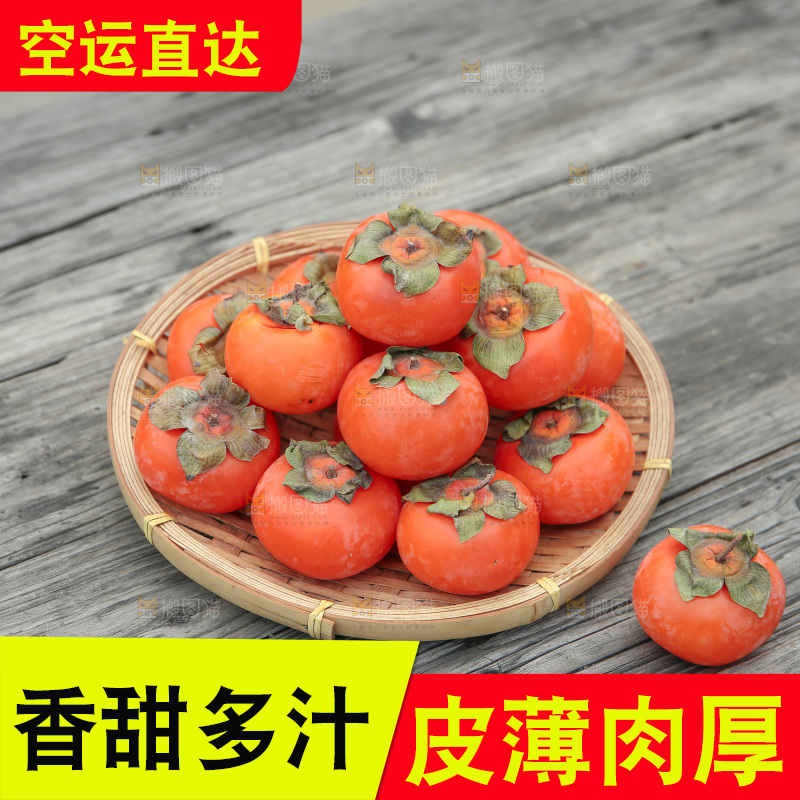 火晶柿子