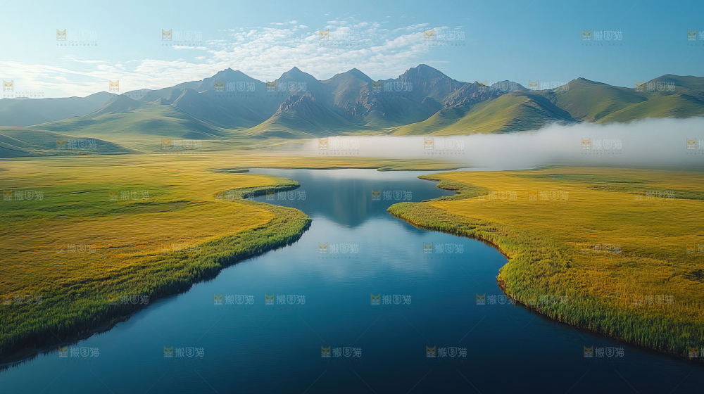 湿地栖息地沼泽自然环境保护区森林绿色