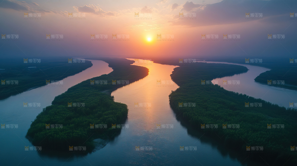 湿地栖息地沼泽自然环境保护区森林绿色