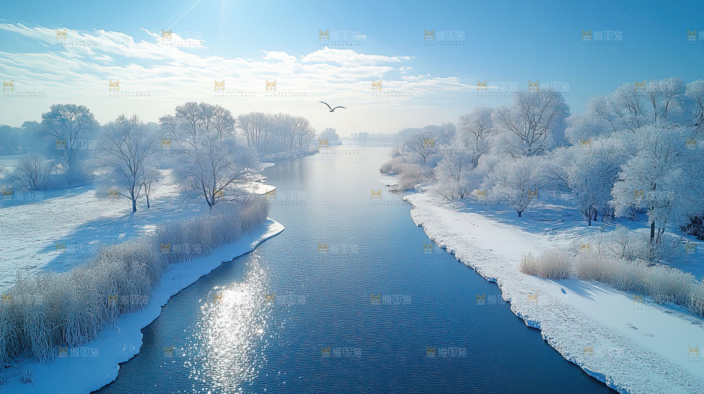 飞鸟湿地栖息鸟类生态水域风景
