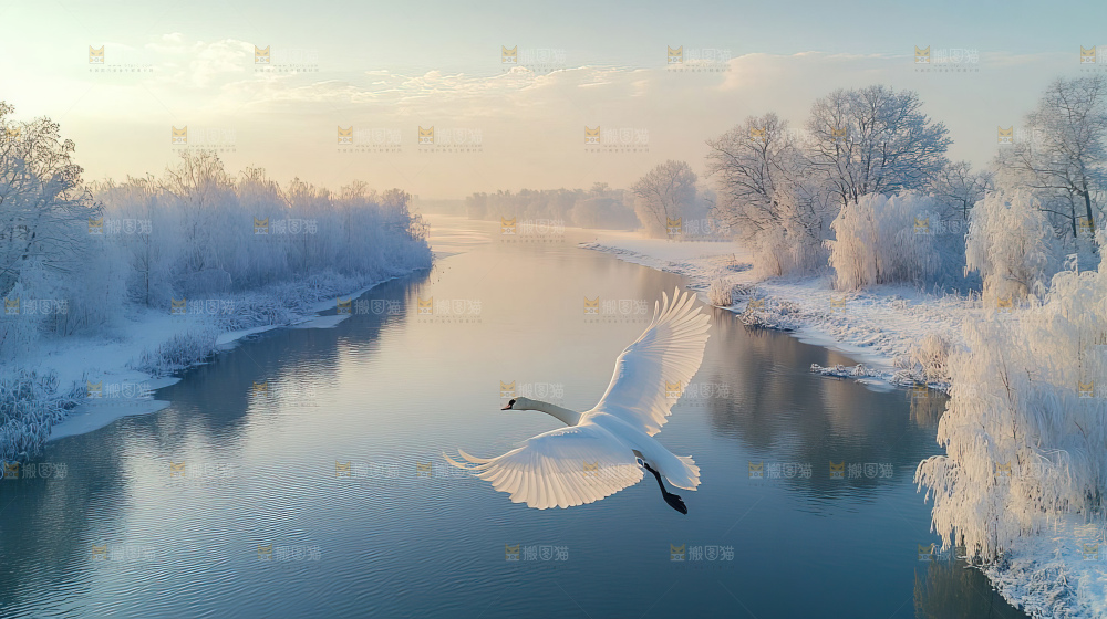 飞鸟湿地栖息鸟类生态水域风景